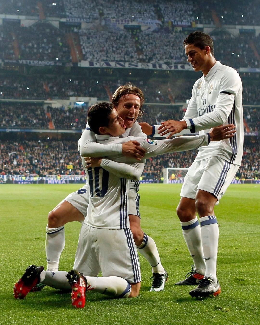 詹姆斯和科 詹姆斯和科