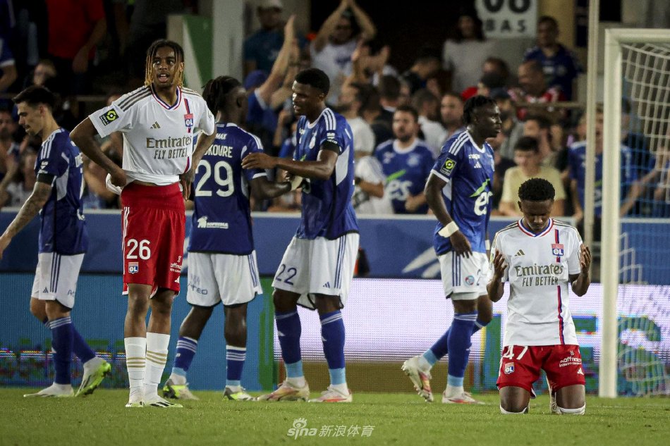 股东伯利财 股东伯利财