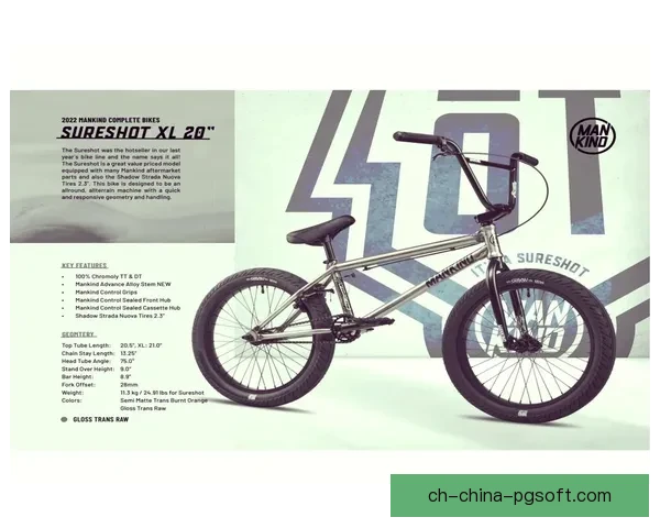 BMX投注技巧详解及实战指南