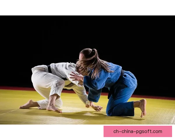 学习柔道技术的视频教程 学习柔道技术的视频教程